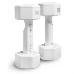 Wii Weights (Dumbells)
